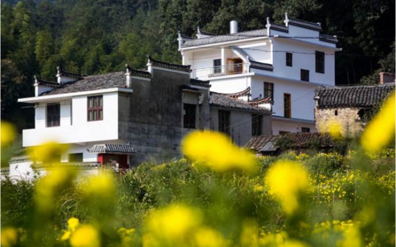 徽风皖韵 上坦古村