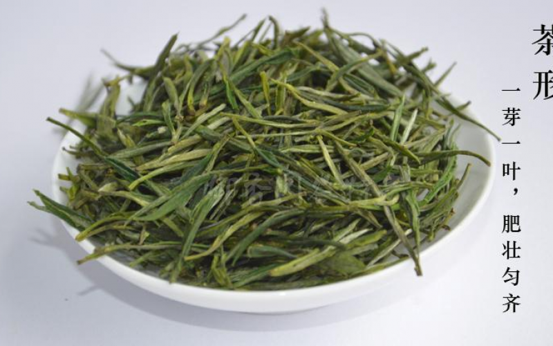 青龙湾茶文化第一篇：黄花云尖