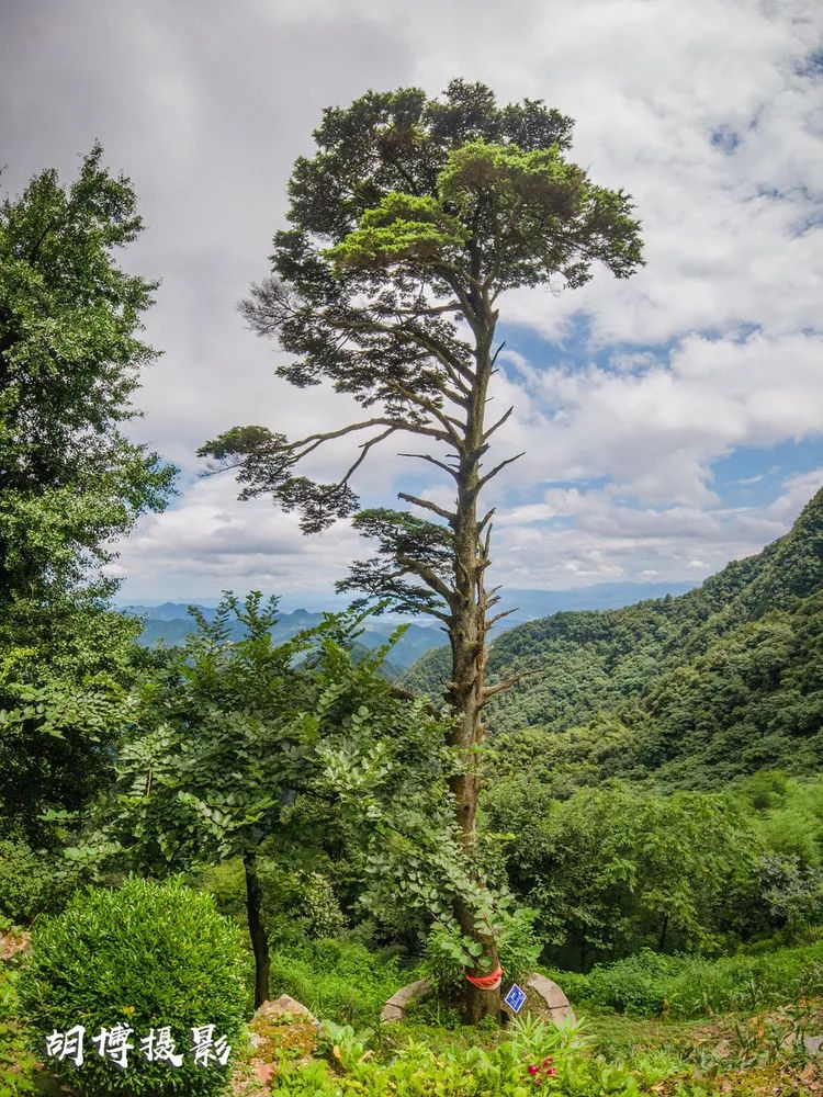 醉卧青山绿水 畅游千年古刹——高峰山（铁瓦寺）(图24)